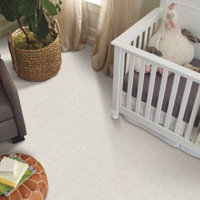 carpet remodel in a Jackson MI nursery